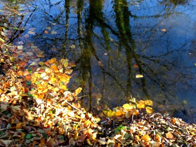 Autumn Reflections photo