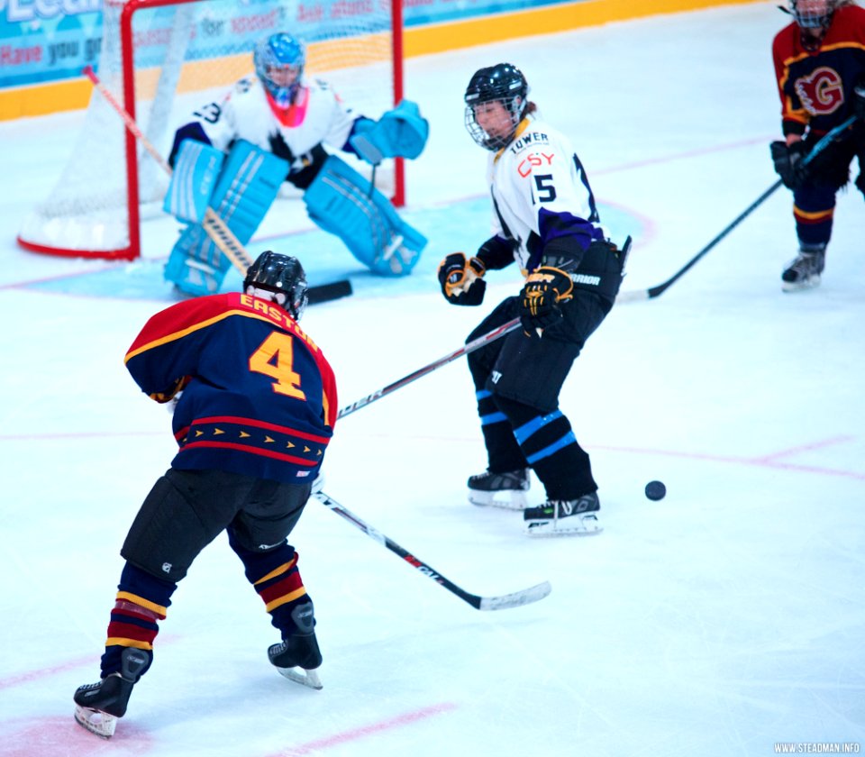 Ice Hockey: Guildford Lightning At Milton Keynes Falcons