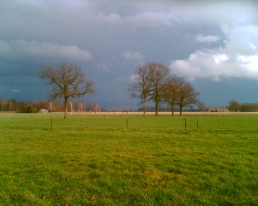 Of Grass And Clouds
