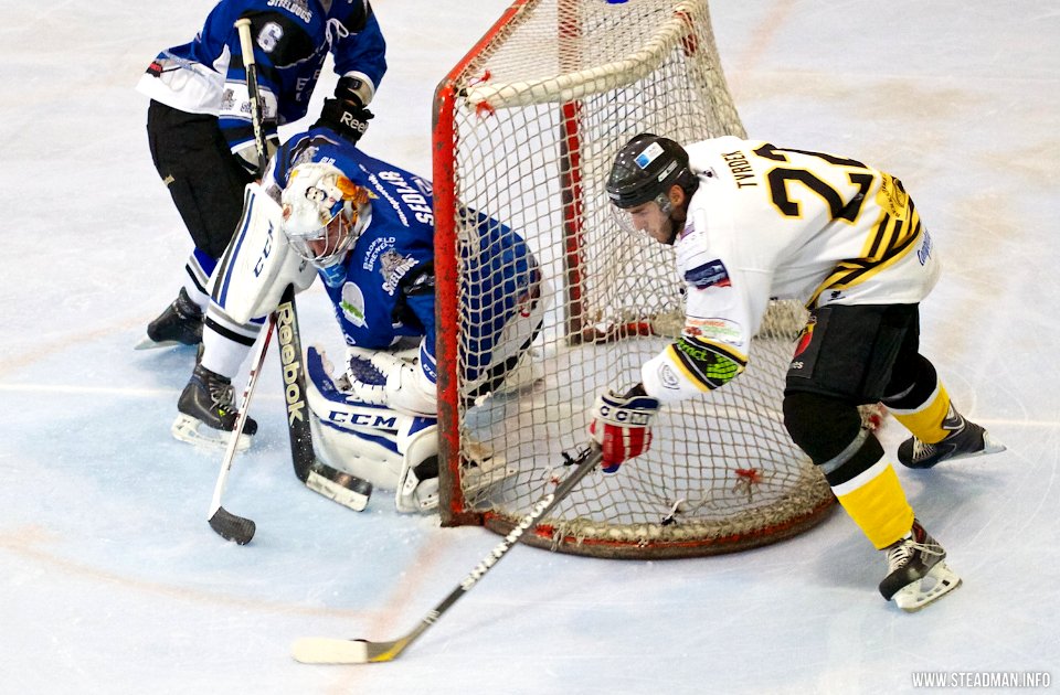 Bracknell Bees Vs Sheffield Steeldogs