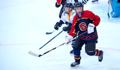 Ice Hockey: Guildford Lightning At Milton Keynes Falcons