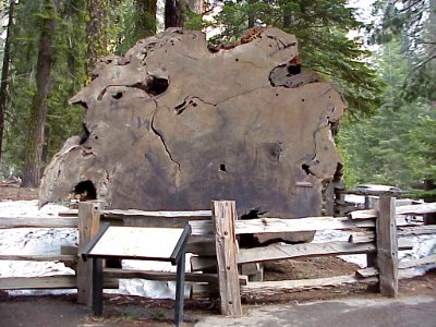 MVC-003L