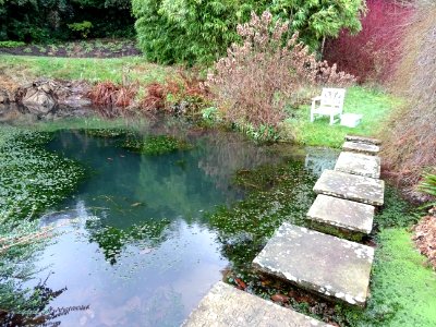STEPPING STONES