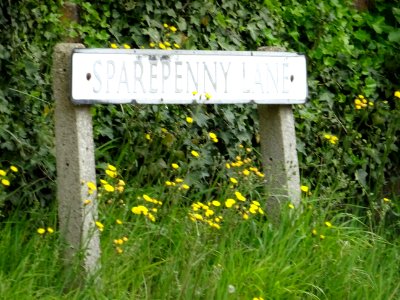 SPARE PENNY LANE