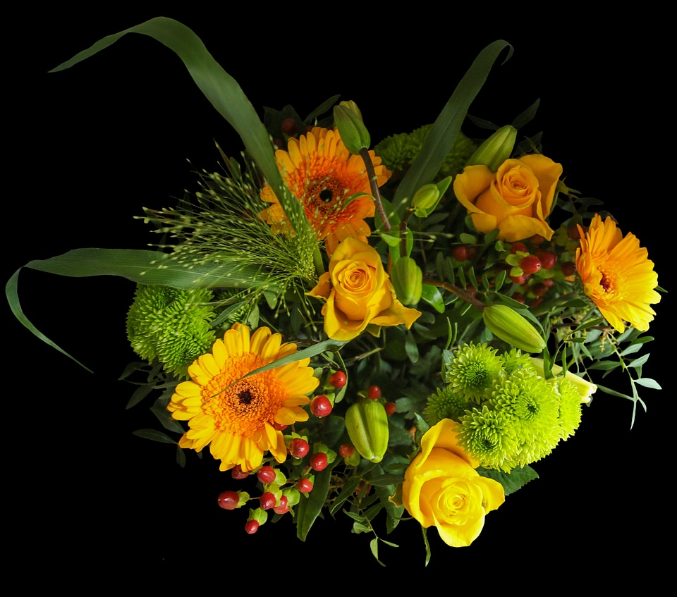 Flowers yellow black