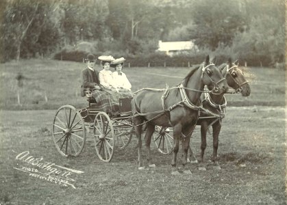 Horse and Cart group, 1906
