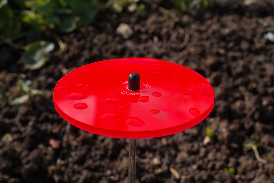 Garden decoration gartendeko neonorange