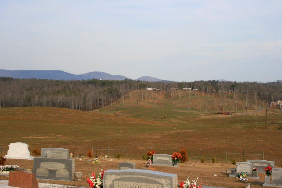 IMG 0180