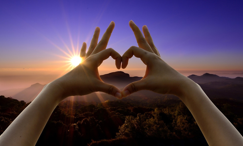 Love sign hand sign