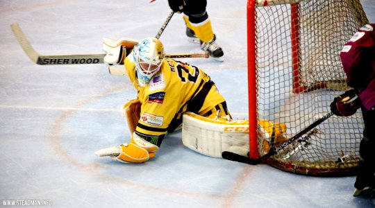Bracknell Bees Vs Manchester Phoenix