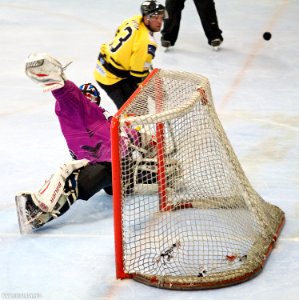Bracknell Bees Vs Manchester Phoenix