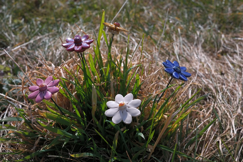 Gartendeko flowers decoration