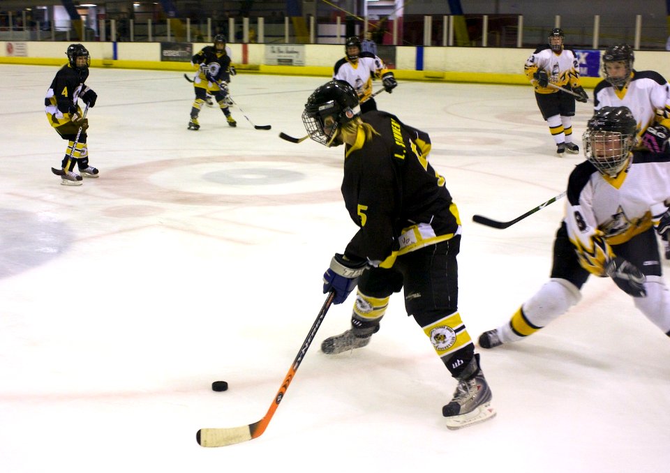 Firebees at Chelmsford