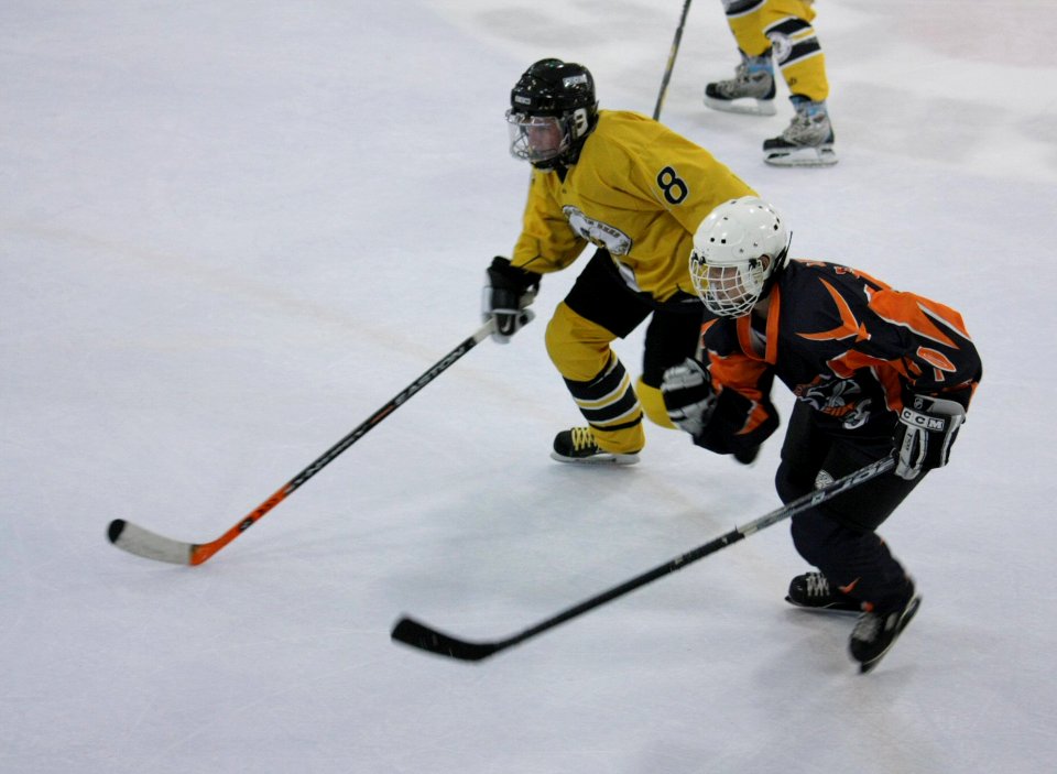 Bracknell Firebees Vs Basingstoke Bears