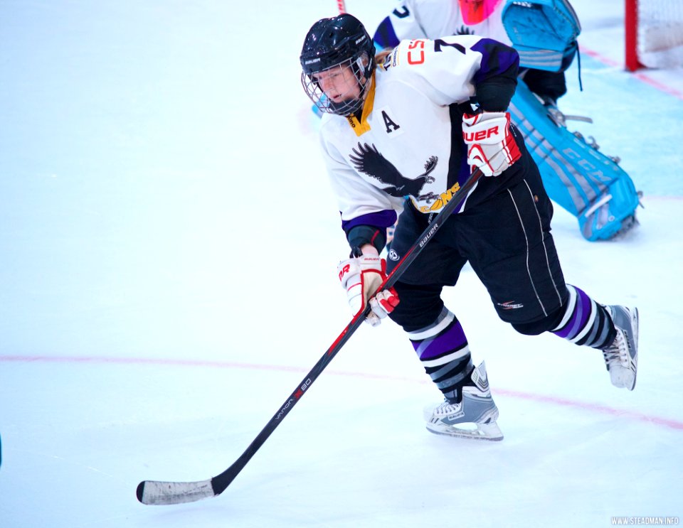 Ice Hockey: Guildford Lightning At Milton Keynes Falcons