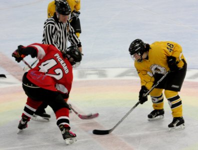 Bracknell Firebees Vs Basingstoke Bison Ladies