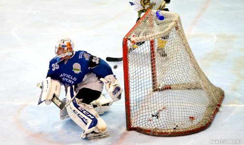 Bracknell Bees Vs Sheffield Steeldogs