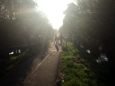 Backlight Path With Wanderers In November photo