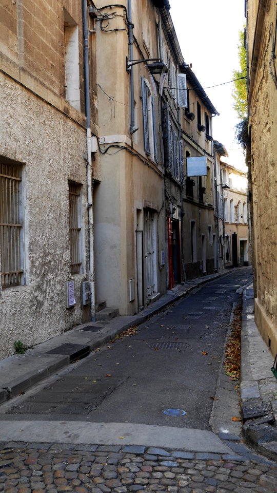 Street Avignon