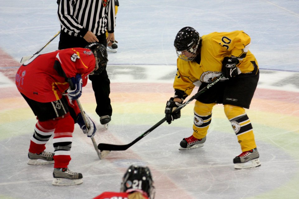 Bracknell Firebees Vs Basingstoke Bison Ladies