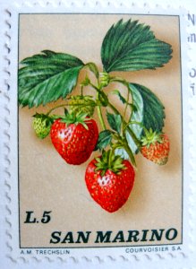 POSTCARD STAMPS