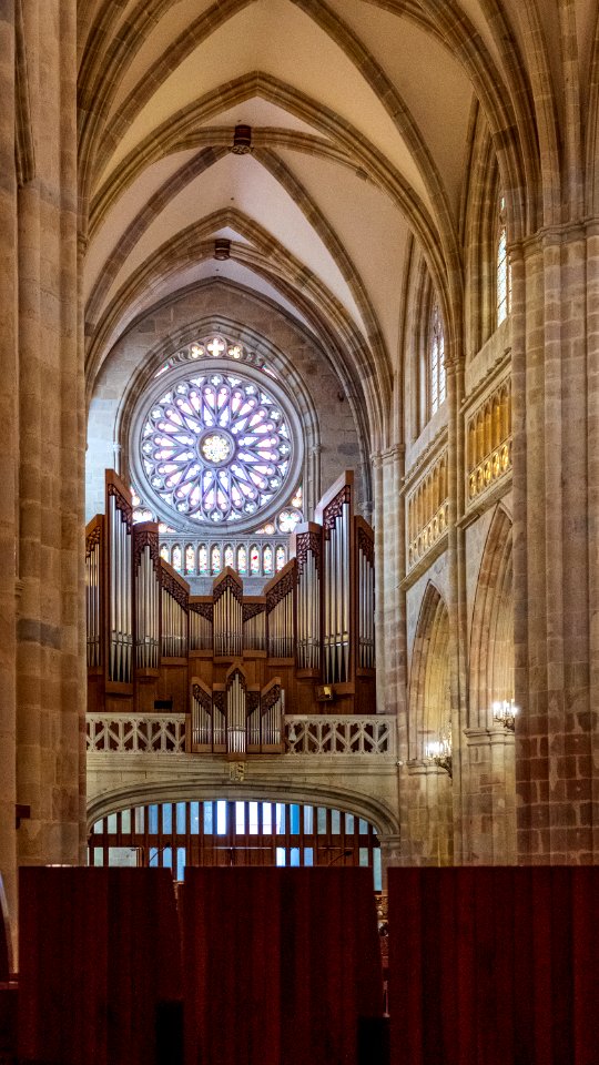 Cathédrale de Bilbao