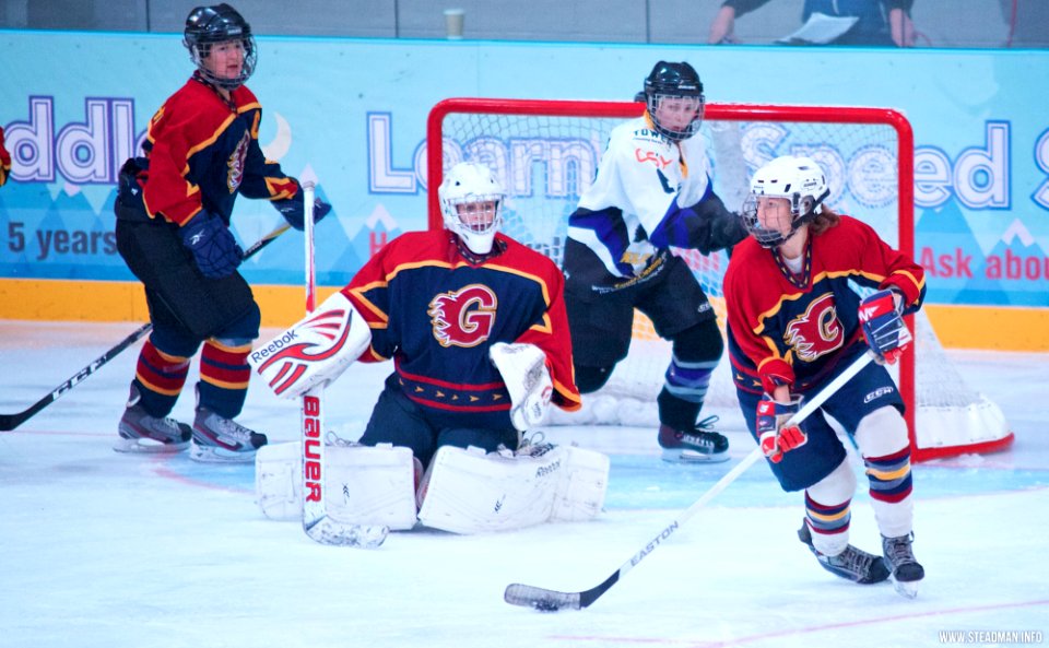 Ice Hockey: Guildford Lightning At Milton Keynes Falcons