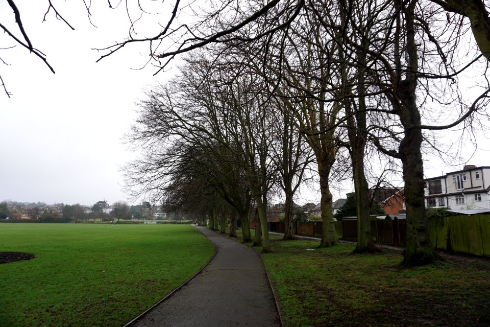 Whitehall Recreation Ground Bromley. Filming location for David Bowie Buddha of Suburbia music video.