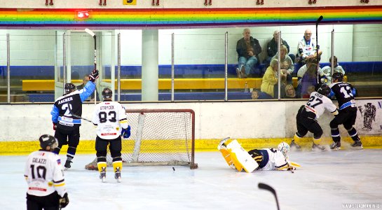 Bracknell Bees Vs Manchester Phoenix