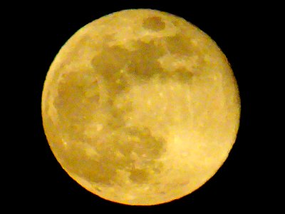 April: "Seed Moon", "Pink Moon", "Sprouting Grass Moon", "Egg Moon" (c.f. "Goose-Egg" in Beard 1918), "Fish Moon"