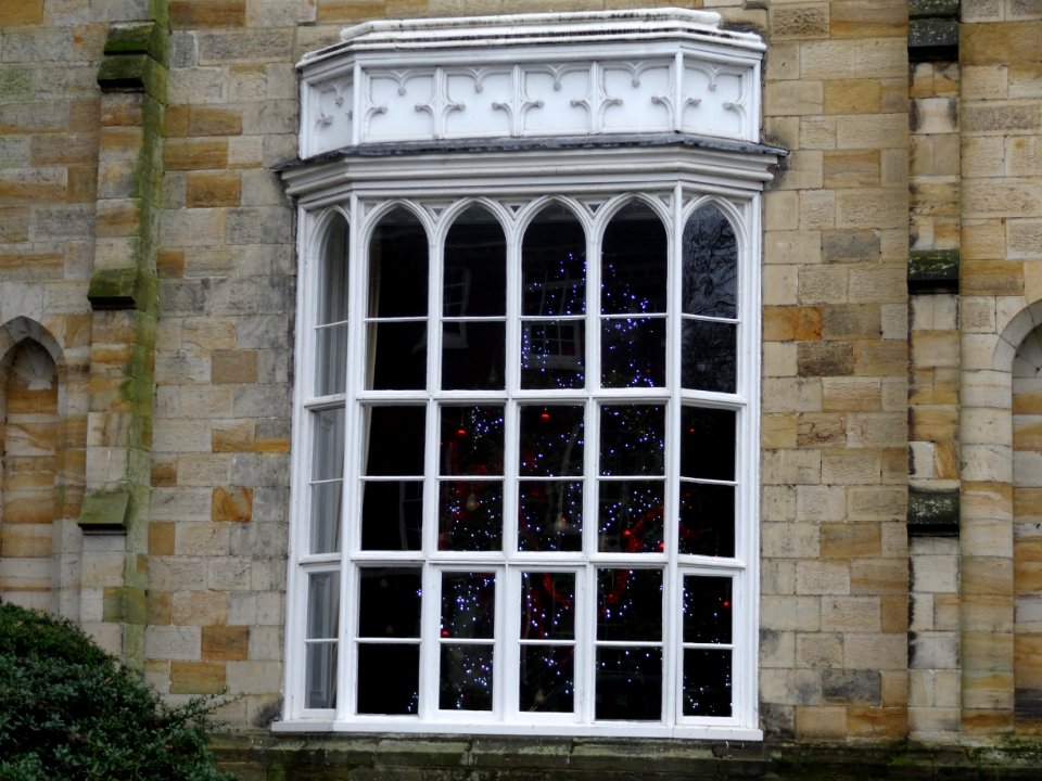 Tonbridge School Christmas Tree Window