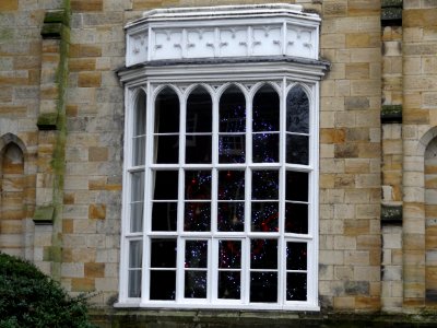 Tonbridge School Christmas Tree Window photo