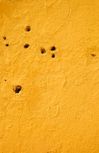DSCF6945