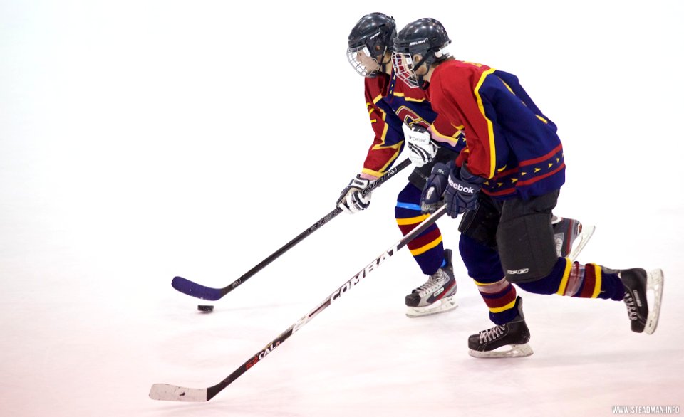 Ice Hockey - Guildford Lightning At Sheffield Shadows