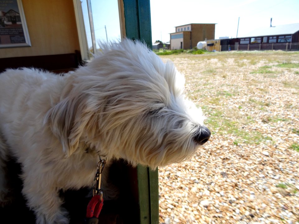 A Windy Train Ride