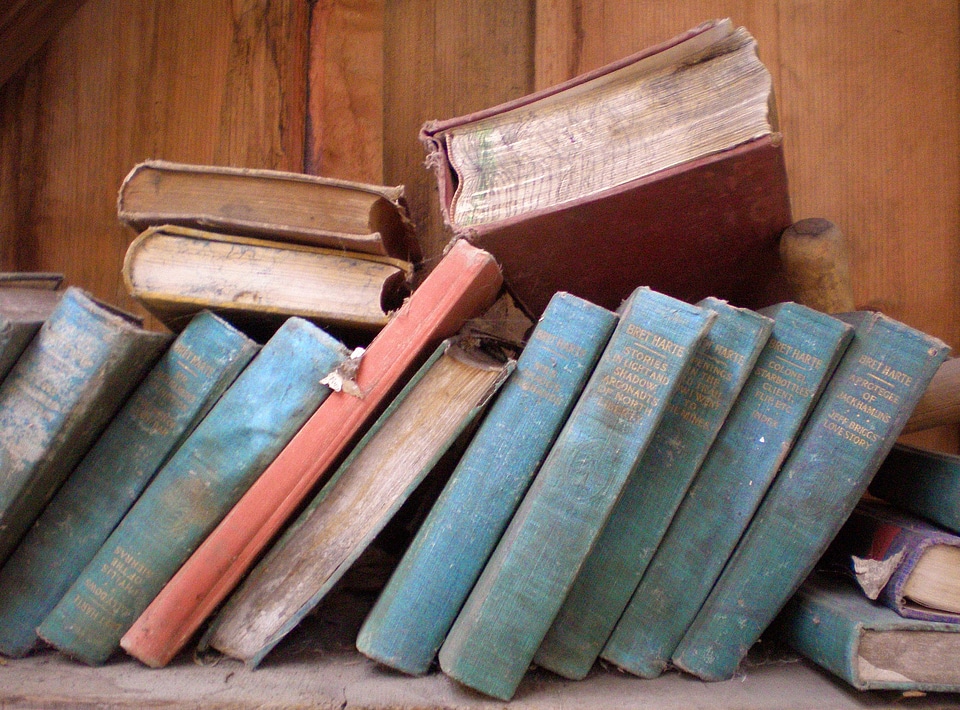 Library vintage antique