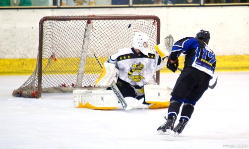 Ice Hockey - Bracknell Bees Vs Sheffield Steeldogs
