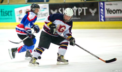 Ice Hockey - Guildford Lightning Vs Solihull Vixens