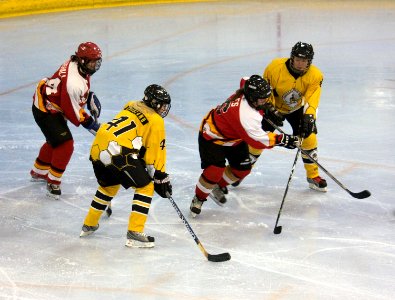 Bracknell Firebees Vs Streatham