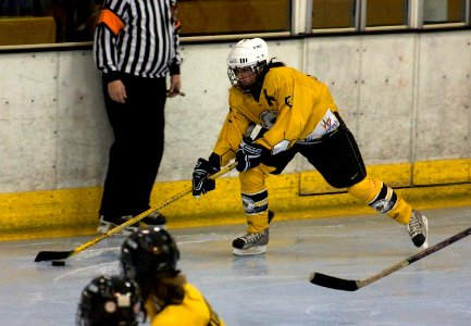 Bracknell Firebees Vs Streatham