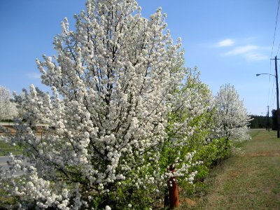 IMG 0822