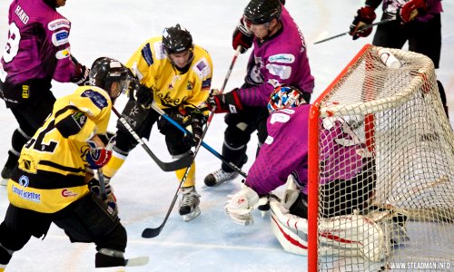 Bracknell Bees Vs Manchester Phoenix