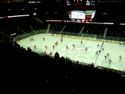 Calgary Flames Vs Ottowa Senators