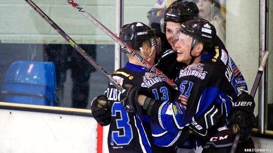 Ice Hockey - Bracknell Bees Vs Sheffield Steeldogs