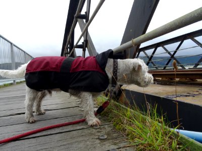 BARMOUTH SWING BRIDGE