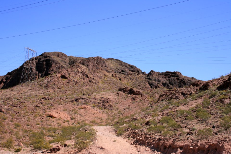 IMG 0263