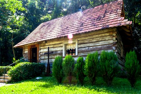 bosque do papa