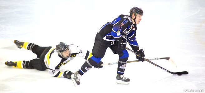 Ice Hockey - Bracknell Bees Vs Sheffield Steeldogs