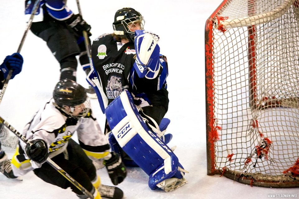 Ice Hockey - Bracknell Bees Vs Sheffield Steeldogs