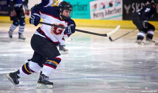 Ice Hockey - Guildford Lightning Vs Slough Phantoms